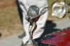 DSC02621.JPG (108987 bytes)