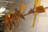 DSC06039.jpg (116372 bytes)