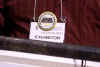 DSC02237.jpg (130772 bytes)