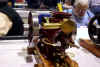DSC02239.jpg (153972 bytes)