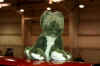 DSC00463.JPG (164381 bytes)