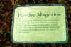 PICT0059.JPG (83593 bytes)