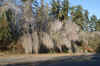 DSC05261.jpg (191283 bytes)