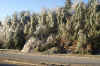 DSC05265.jpg (201357 bytes)