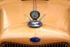 DSC08111.JPG (114460 bytes)
