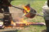 PICT0113.JPG (77079 bytes)