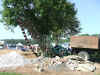 DSCF6921.JPG (163041 bytes)
