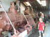 DSCF7092.JPG (147885 bytes)