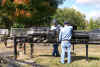 DSC07804.jpg (204819 bytes)