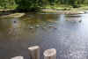DSC07438.jpg (310172 bytes)