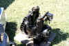 DSC01277.jpg (243745 bytes)