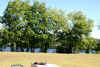 DSC07624.JPG (360891 bytes)