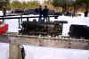 DSC08418.jpg (209983 bytes)