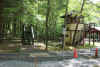 DSC08549.JPG (263074 bytes)